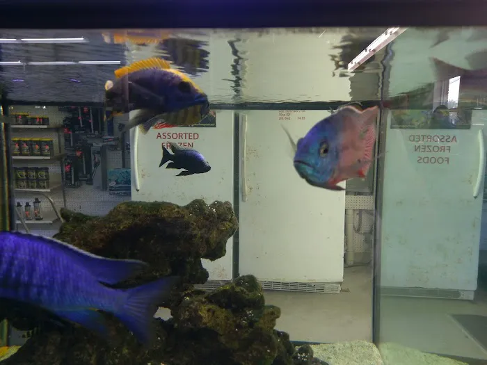 Fishy Business Aquarium Picture 5