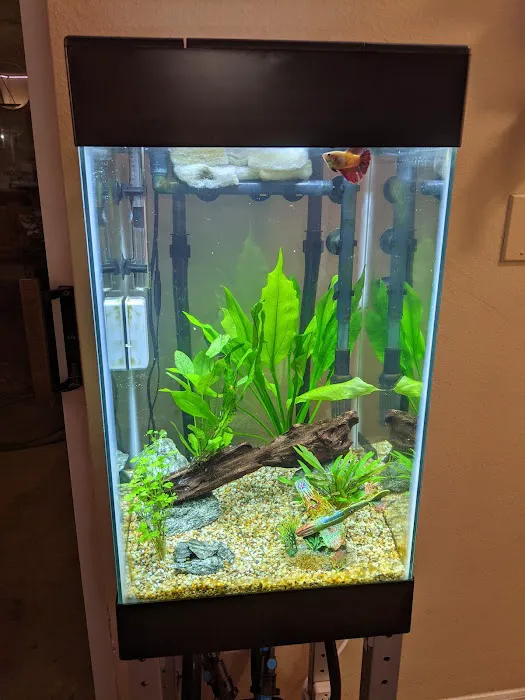 Fishy Business Aquarium Picture 6