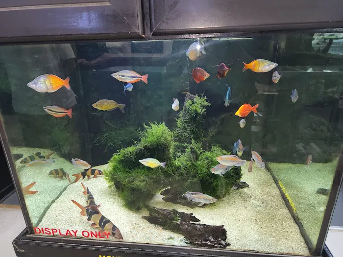 Fishy Business Aquarium Picture 7