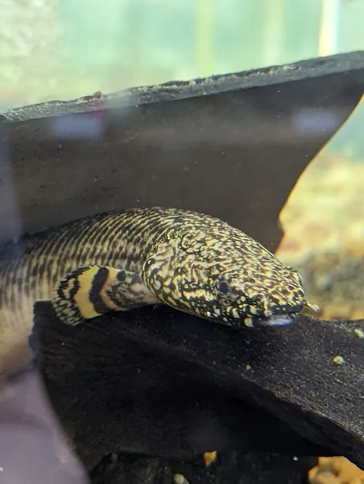 Fishy Business Aquarium Picture 4