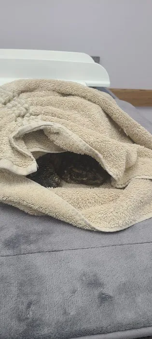 Rockacres Veterinary Hospital Picture 8