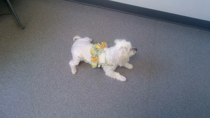 Rockacres Veterinary Hospital Picture 9