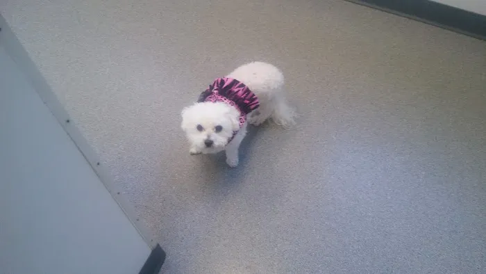 Rockacres Veterinary Hospital Picture 3