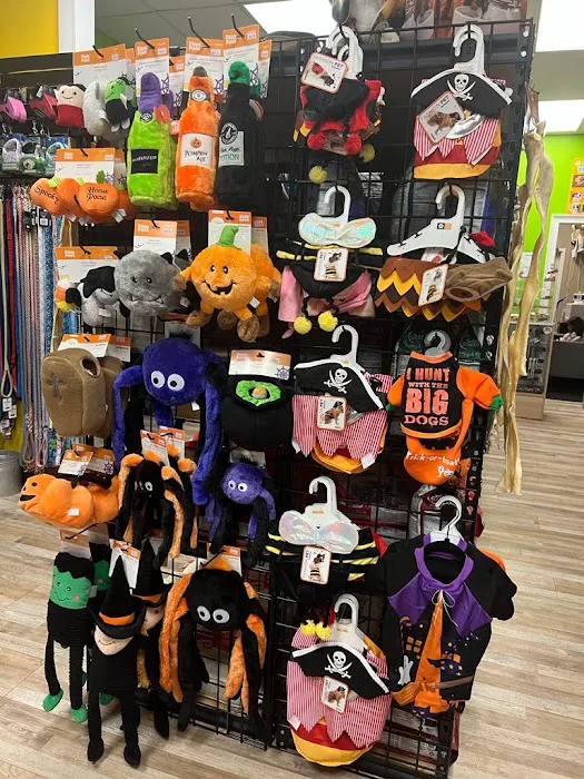 Doggo Lovers Picture 8
