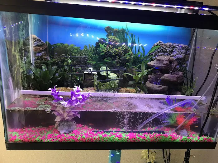 Ocean Blue Aquarium Picture 10
