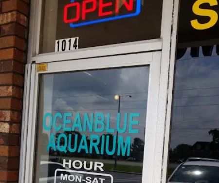 Ocean Blue Aquarium