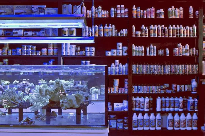 Ocean Blue Aquarium Picture 2