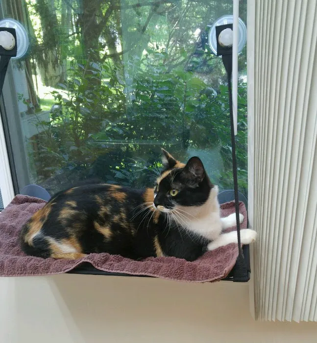 Village Veterinary Hospital Picture 7