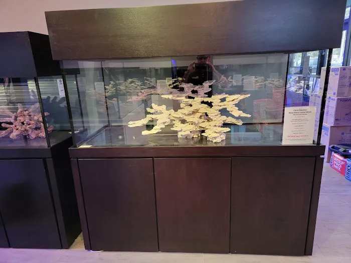 Top Shelf Aquatics Picture 4
