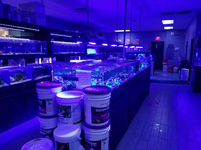 Top Shelf Aquatics Picture 2