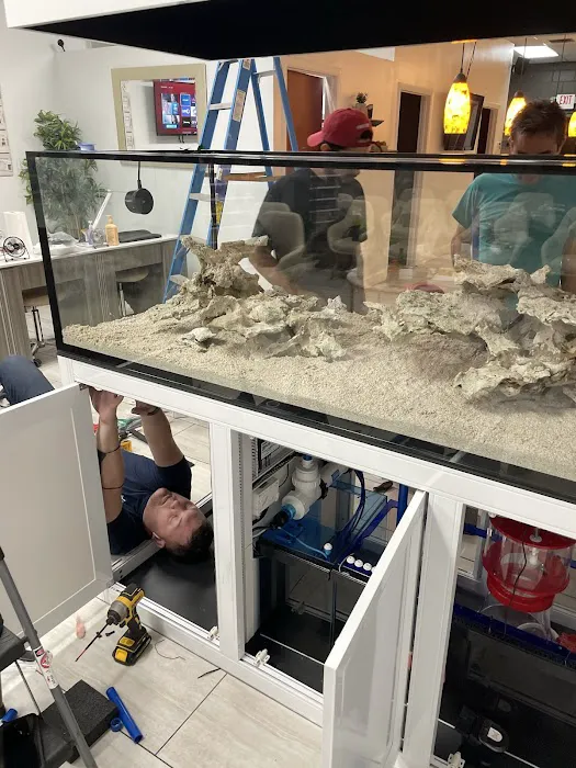 Top Shelf Aquatics Picture 8