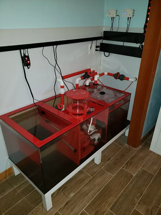 Top Shelf Aquatics Picture 5