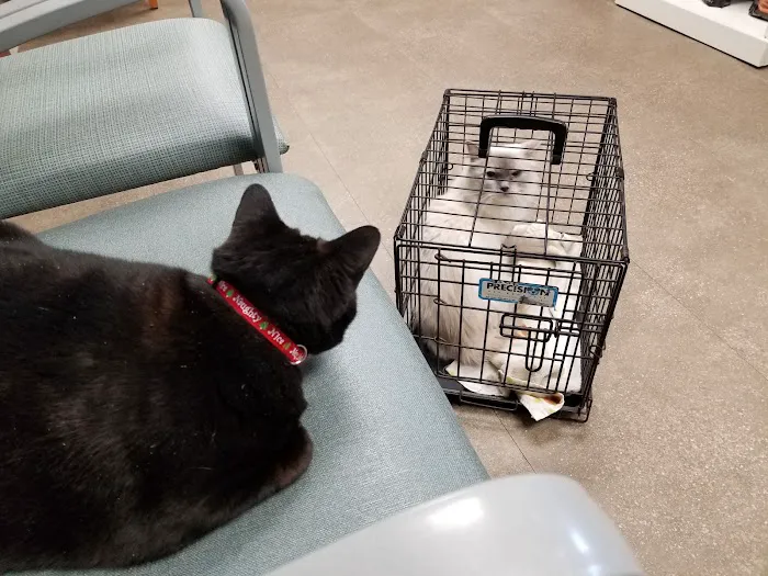 Stack Hospital For Pets Picture 2