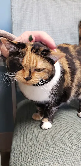Stack Hospital For Pets Picture 1