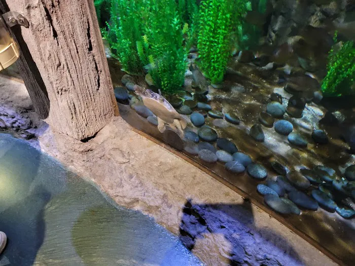 Aquariums Fish & Coral Picture 3