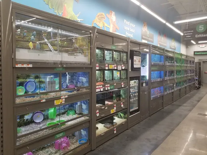 Pet Supplies Plus Winter Park Picture 8
