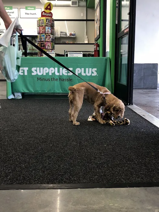Pet Supplies Plus Winter Park Picture 3