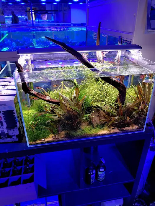 somethingFISHY Picture 1