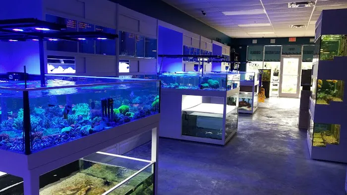 somethingFISHY Picture 9