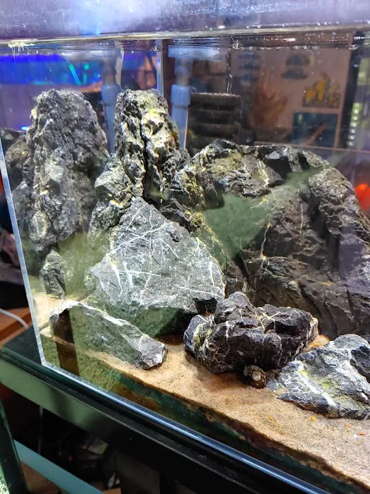 somethingFISHY Picture 2