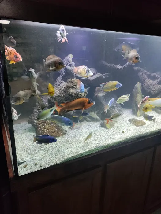 somethingFISHY Picture 5