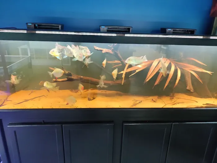 somethingFISHY Picture 7