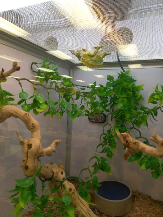 Pet Supermarket Picture 3