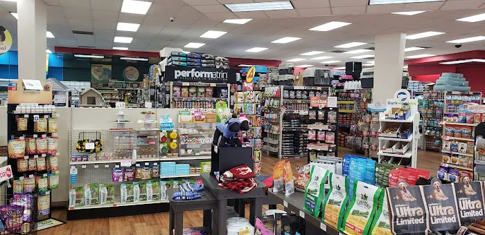 Pet Supermarket Picture 4