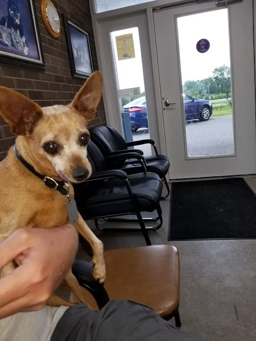 Rome Animal Hospital Picture 3