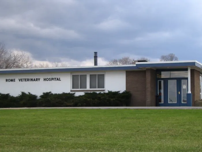 Rome Animal Hospital Picture 7