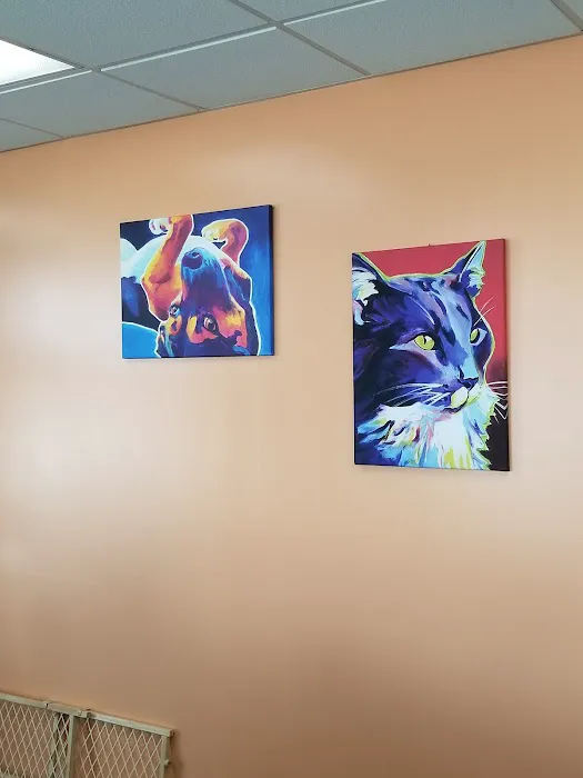 Rome Animal Hospital Picture 1