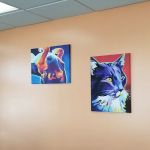Rome Animal Hospital
