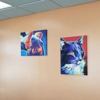 Rome Animal Hospital ico
