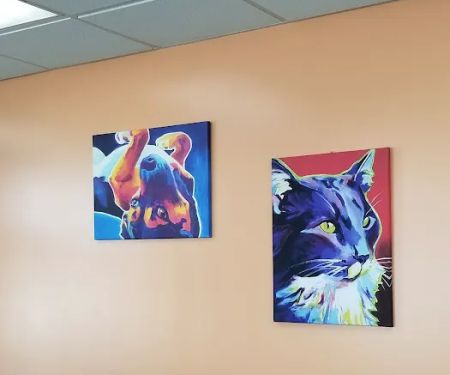 Rome Animal Hospital