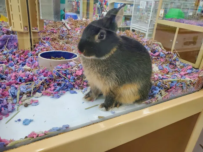 Pet Supermarket Picture 7