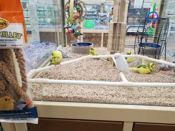 Pet Supermarket Picture 4
