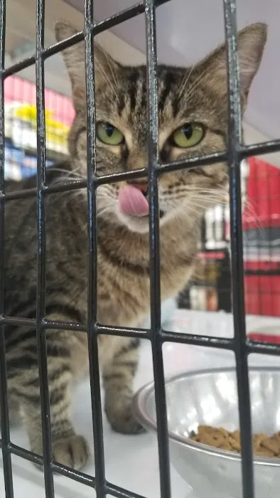 Pet Supermarket Picture 5