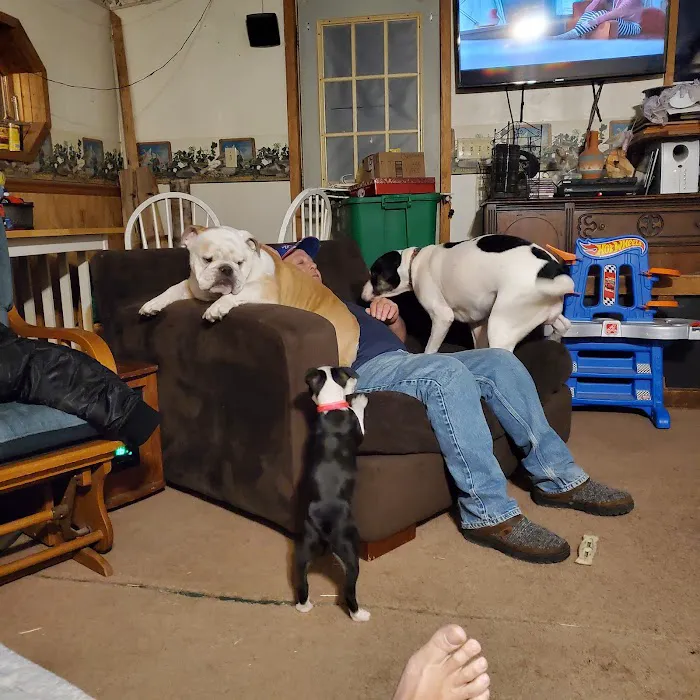 Happy Valley Animal Hospital Picture 5