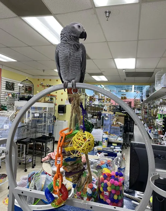 Rena's Pet Supplies Picture 5