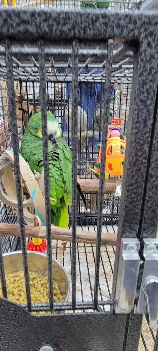 Rena's Pet Supplies Picture 2