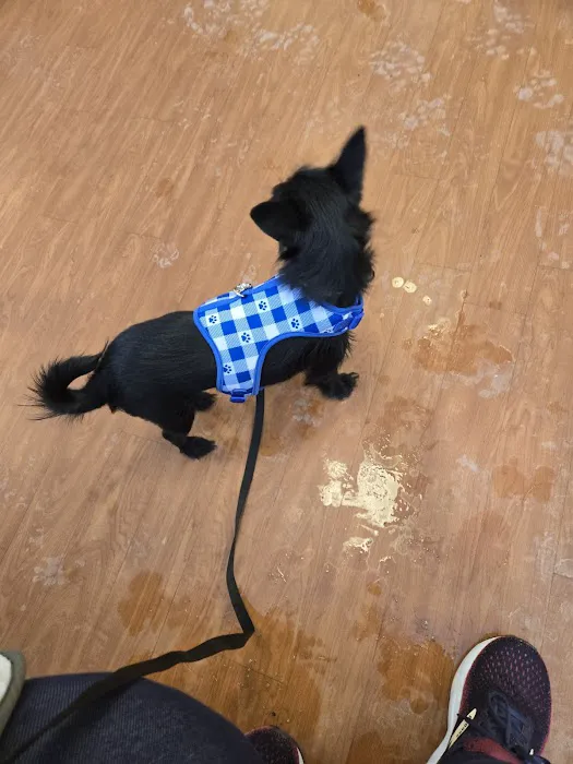 Marcy Veterinary Clinic Picture 2