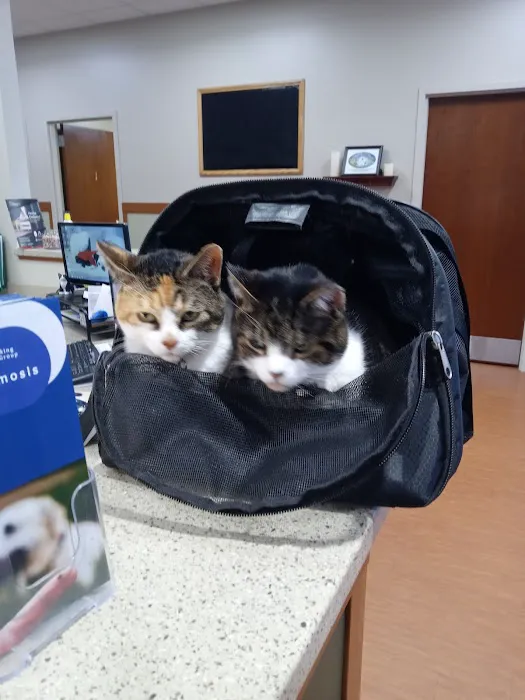 Marcy Veterinary Clinic Picture 5