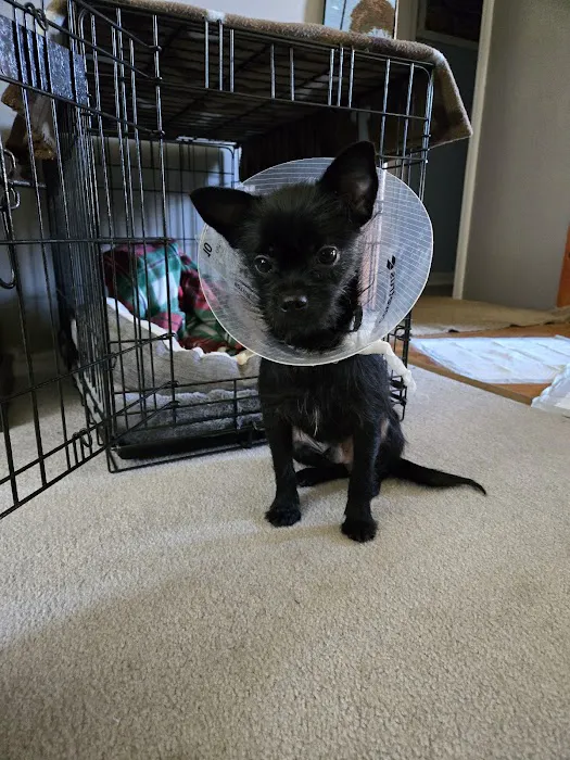 Marcy Veterinary Clinic Picture 4