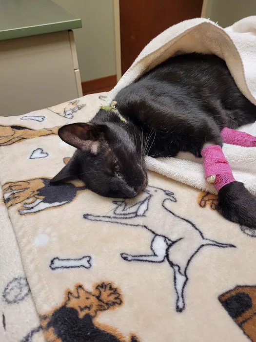 Marcy Veterinary Clinic Picture 10