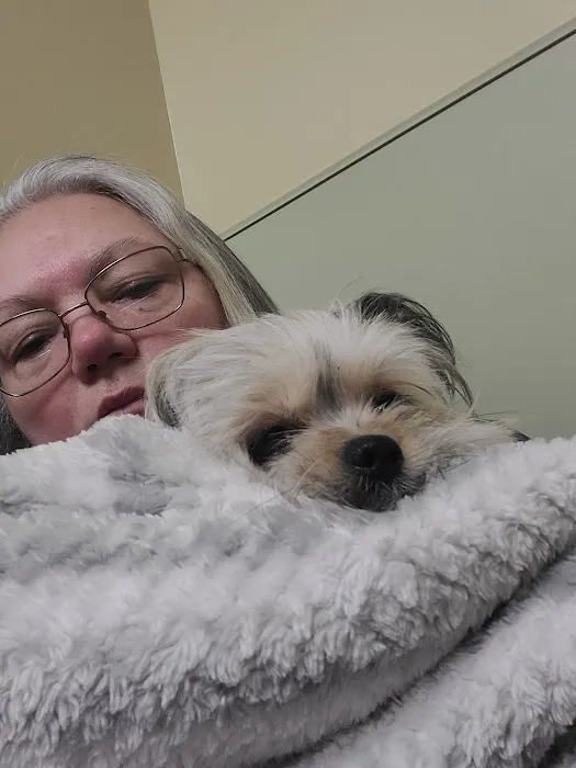 Marcy Veterinary Clinic Picture 9