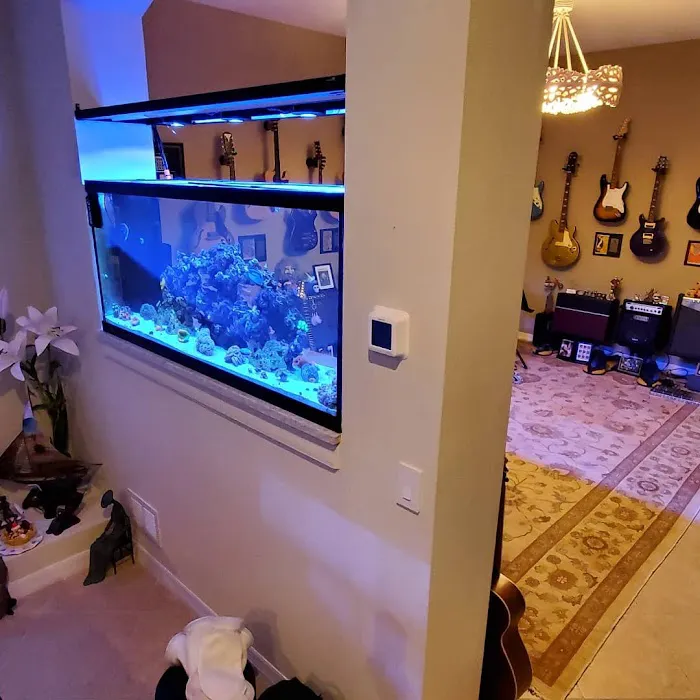 Little Slice of Ocean LLC Picture 2