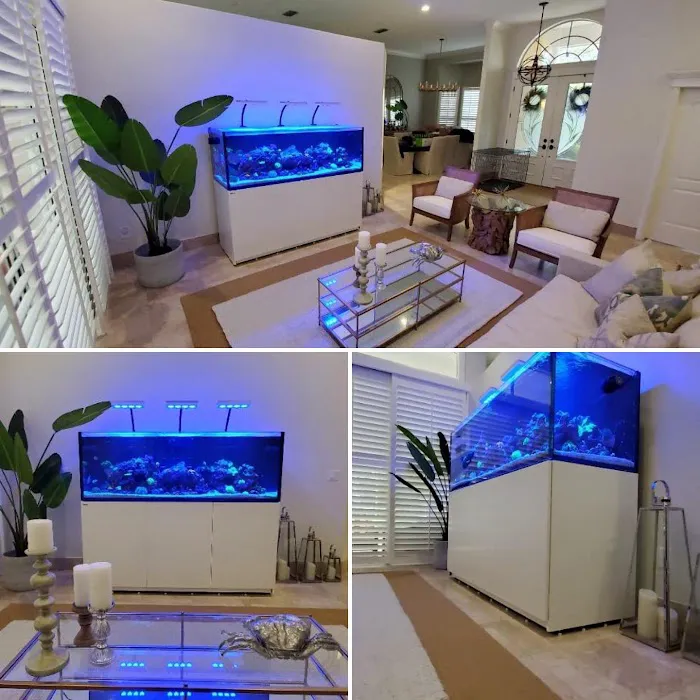 Little Slice of Ocean LLC Picture 5