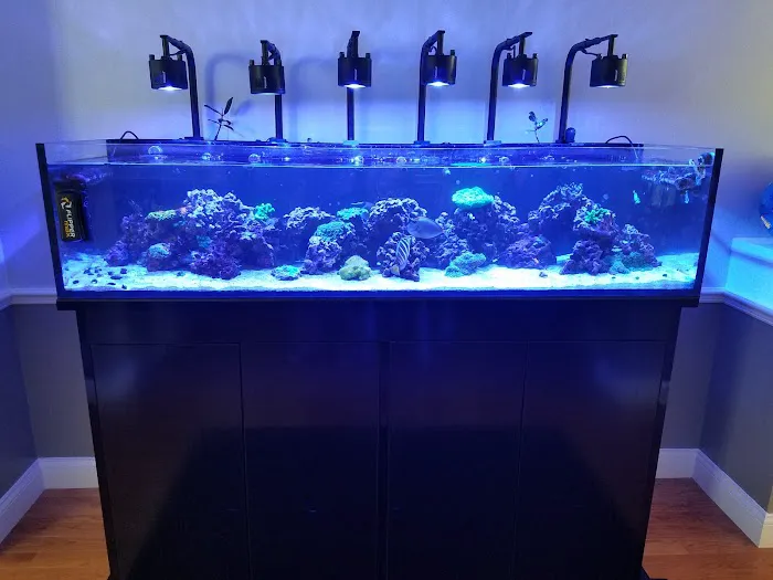 Little Slice of Ocean LLC Picture 6