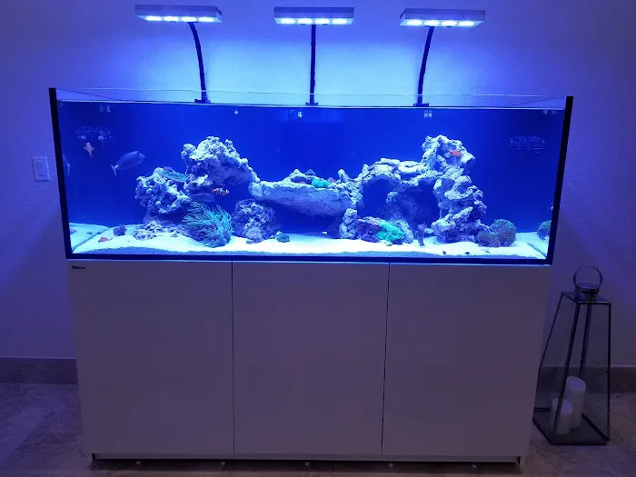 Little Slice of Ocean LLC Picture 1