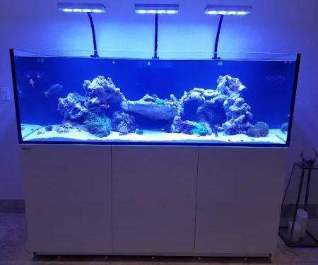 Little Slice of Ocean LLC